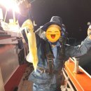 완도 밤야식 이미지