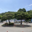 GR(울진군)-[기성로]-상-20 | 강아지랑, 경북 포항 1박 2일 여행 코스 후기 (스페이스 워크, 카페, 꽈배기, 울진 영명사, 동동주) 2일차