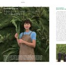 비비플랜트 이미지