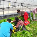 세종창조경제혁신센터 이미지