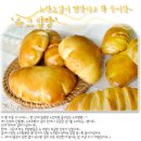 슈크림 이미지