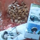 법성주유소 이미지