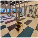 근력강화+바른자세 요가 이미지