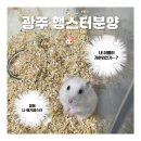 특별한 동물가게 광주점 네이버블로그