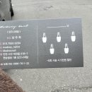 모드니네일 이미지