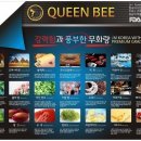 전자담배베이핑스토리 이미지