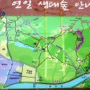 중명길 이미지