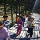 솔애유치원 이미지