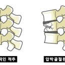 도움요양원 네이버블로그