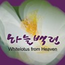 유한회사 하늘 이미지