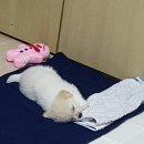 오써니 이미지