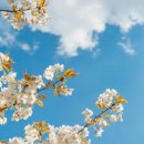 반포대로28길 94 이미지