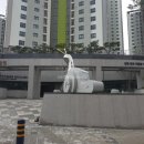 더비치부동산중개사무소 이미지