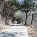 평창강가에서 이미지