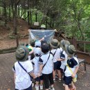 사랑유 Daum카페