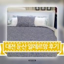 자미온，알레르망 | 대전 둔산 알레르망 방문 이브자리 자미온 세사도 방문