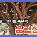 운림농원 이미지