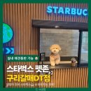 갈매공원 | 구리 애견동반 카페 스타벅스 구리갈매DT점 실내 펫존 주차 퍼푸치노 후기