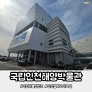 바다의별유치원 | 인천월미도 바로 옆 바다 감성 가득한 국립인천해양박물관