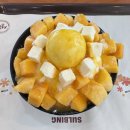 설빙안산 - 안산시 단원구 선부광장1로 69 | 안산 중앙동 빙수 설빙 무더위 날려준 애플망고치즈설빙