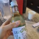 다래산오징어