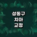 미사랑치과의원 | 서울 성동구 치아교정 잘하는 전문치과 병원 추천 | 비용 후기 설측교정 돌출입 앞니 투명 무턱 부분...