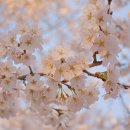 GS25 동두천소요점 이미지