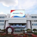 시민생활체육관 수영장 이미지