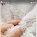 네일드윤