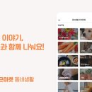 개고양이마켓 뉴스웍스
