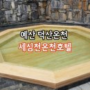 호텔 볼 | 덕산온천 예산 세심천온천호텔 가볼만한곳 내돈내산 방문 후기