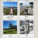 사당밑골 | [공지] 유지어터 | 4분기 결산 : 내돈내산 월별 1위 맛집 생일선물리스트 운동, 칼로리 기록