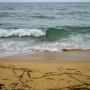 초도해변 이미지