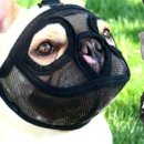 해리스힐 이미지