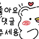 웨이드(wayd) 이미지