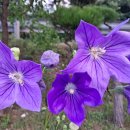 시골반찬 이미지