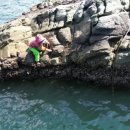 거창식당 민박 이미지