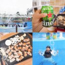 충남 당진가볼만한곳 취사가능 워터파크 아마존 아쿠아파크 아이와 충남계곡 대신 GO
