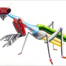 아트앤네이쳐미술학원 이미지