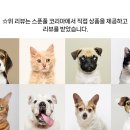 스푼풀코리아 이미지