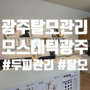 광주 탈모관리)모발장생술(두피관리)후기_모스테틱광주
