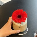 플라커피