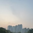 송월목장 | 0825_감사일기