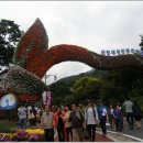 왕산주유소 이미지