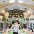 토브하우스 이미지