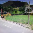 그린파크장 이미지