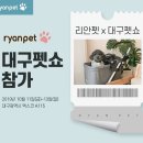 리안 쿠키뉴스