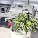 수원-0487 이미지