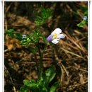 도비산 등산로 이미지