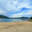 은빛아라 이미지